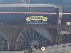 "Bluebottle" @ Hythe - Spring 2009 by Jayl &copy;