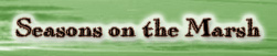 Seasons of the Marsh by Terry Anthony